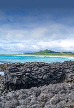 Chatham Islands