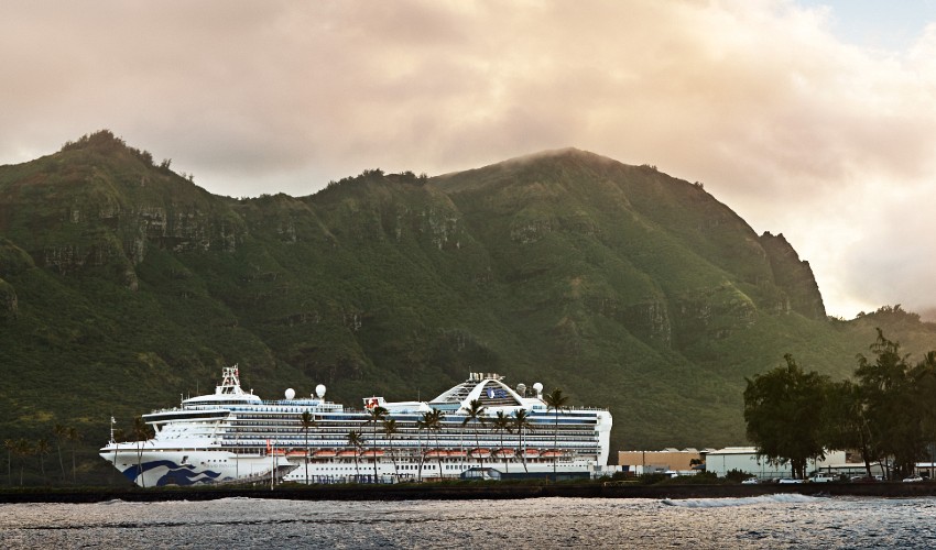 Cruise from Auckland