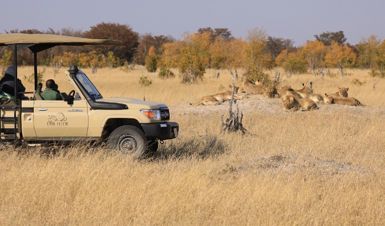 Three Country Safari